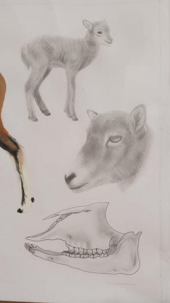 Untitled Untitled